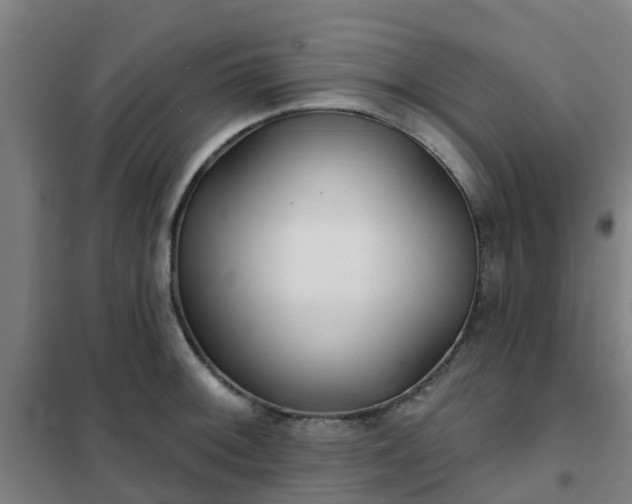 X0000102021092200807251326