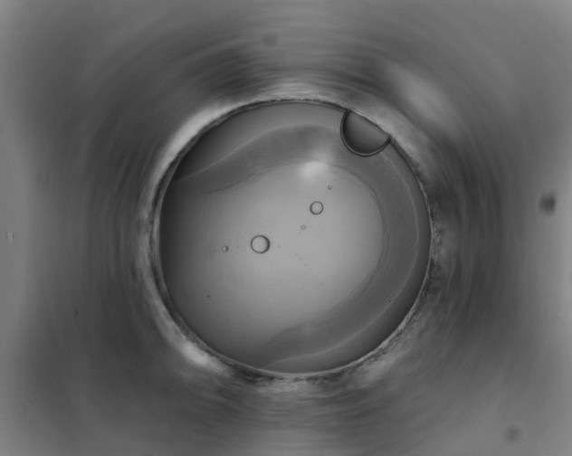 X0000102021094200807251326