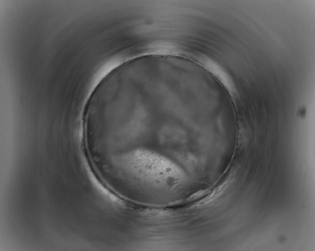 X0000102021095200807251326