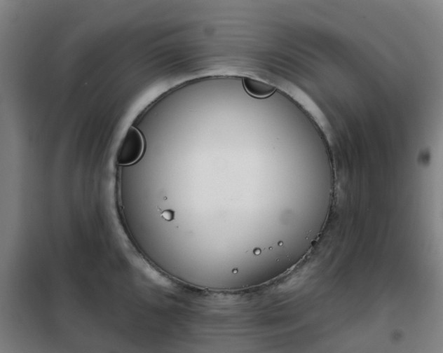 X0000102021096200807251326