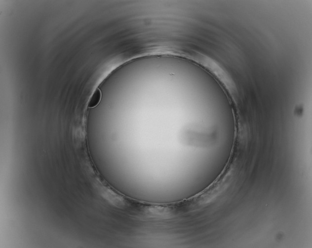 X0000102021097200807251326