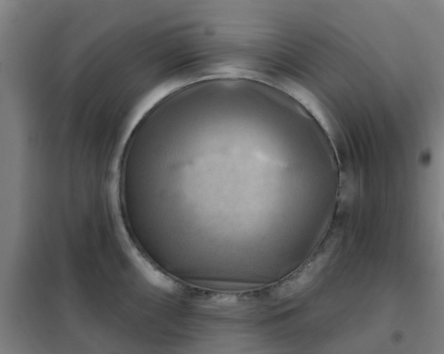 X0000102021098200807251326