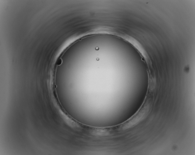 X0000102021101200807251326