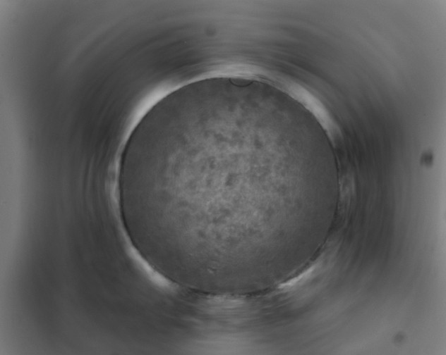 X0000102021103200807251326