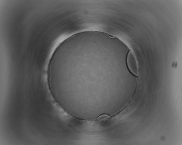 X0000102021104200807251326