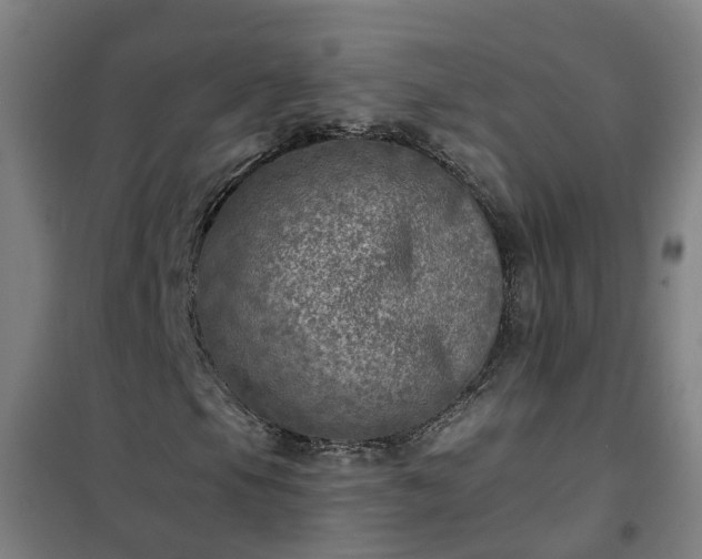 X0000102021105200807251325