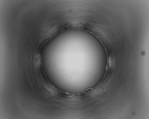 X0000102021107200807251325