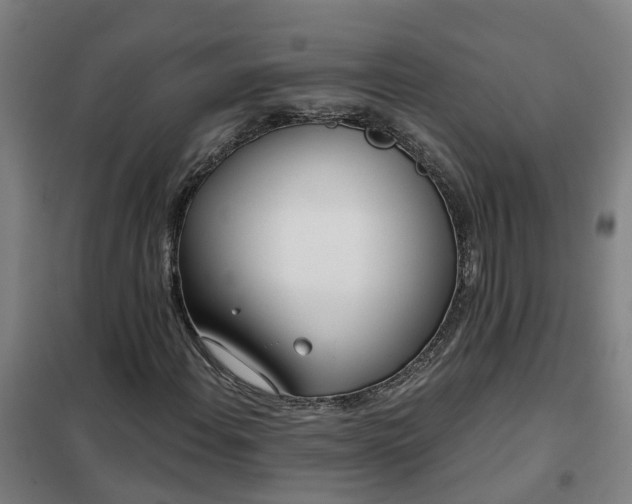 X0000102021108200807251325