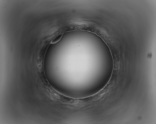 X0000102021109200807251325