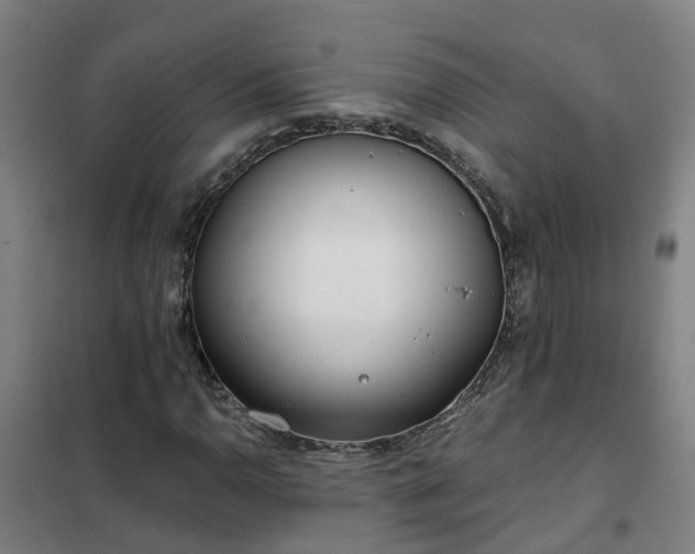 X0000102021110200807251325