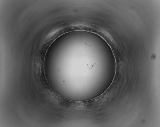 X0000102021111200807251325