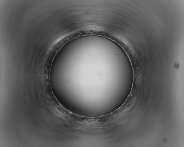 X0000102021112200807251325