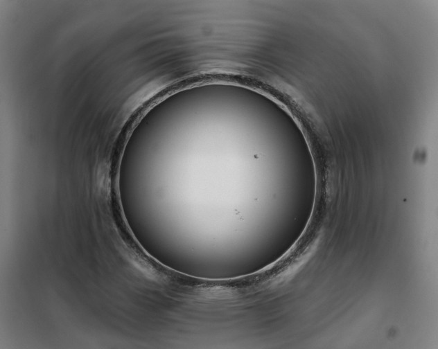 X0000102021113200807251325