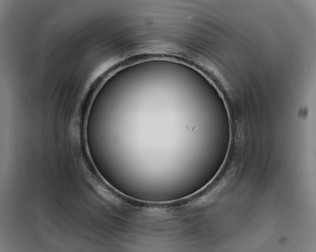 X0000102021114200807251325