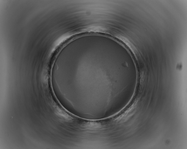 X0000102021115200807251325
