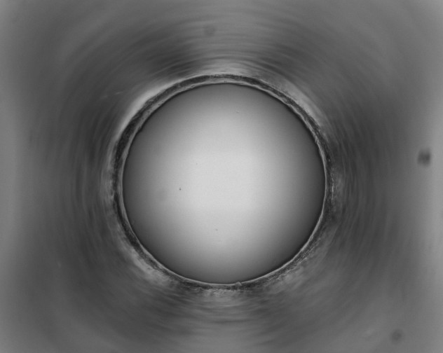 X0000102021116200807251325