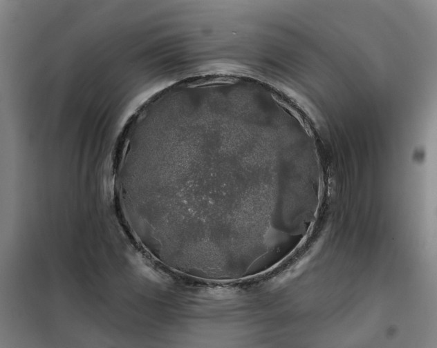 X0000102021117200807251325