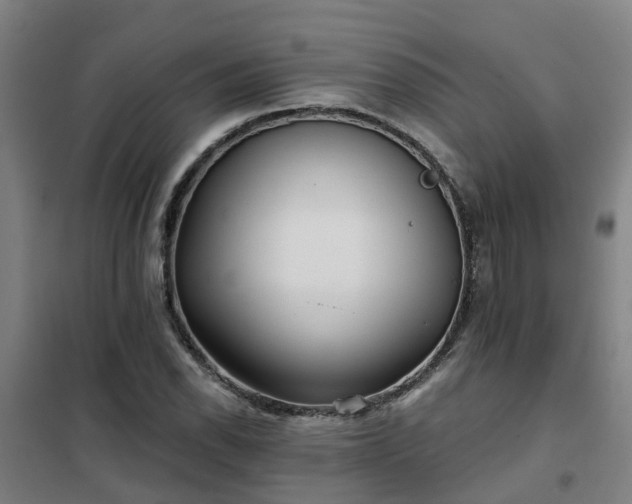 X0000102021118200807251325