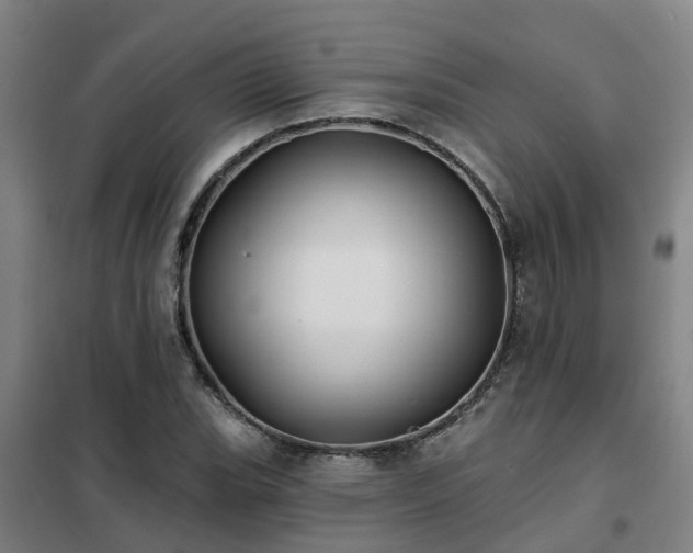 X0000102021119200807251325