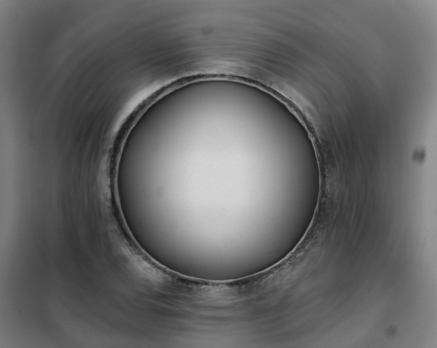 X0000102021120200807251325