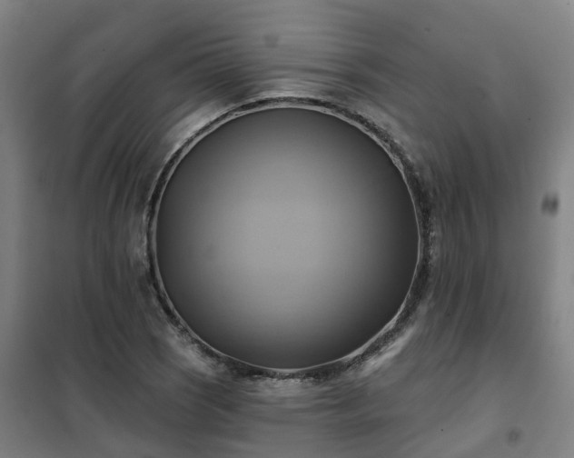 X0000102021121200807251325