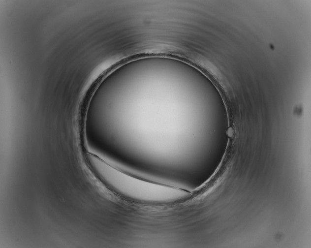 X0000102021122200807251325