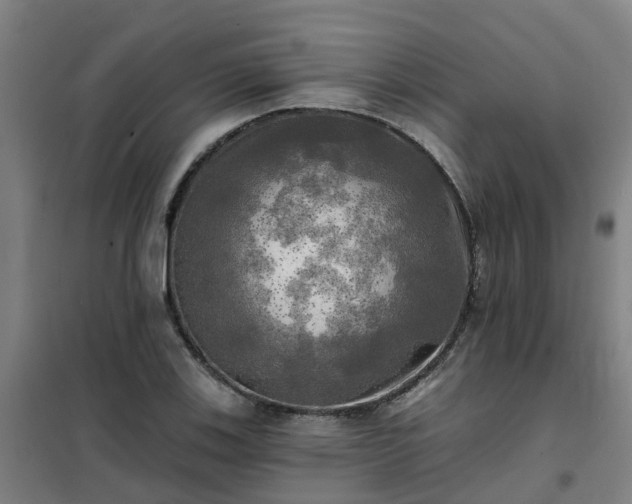 X0000102021123200807251325