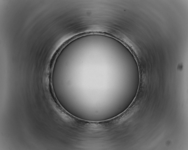 X0000102021124200807251325