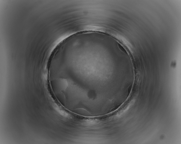 X0000102021125200807251325
