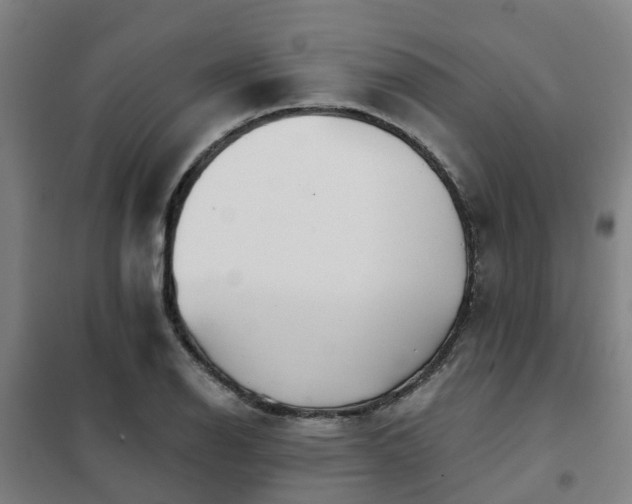 X0000102021126200807251325