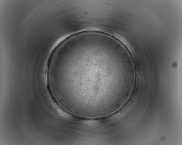 X0000102021127200807251325