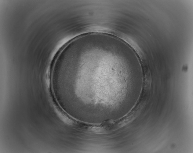 X0000102021128200807251325