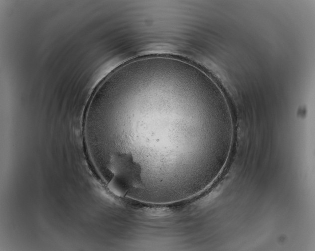 X0000102021129200807251325