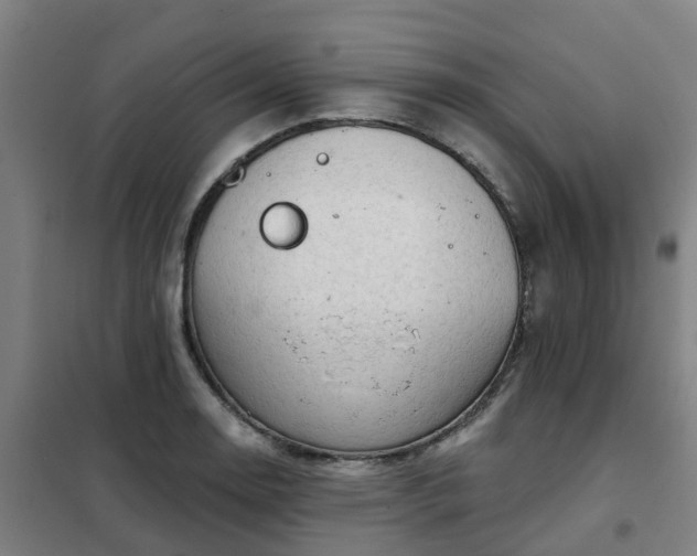 X0000102021130200807251326