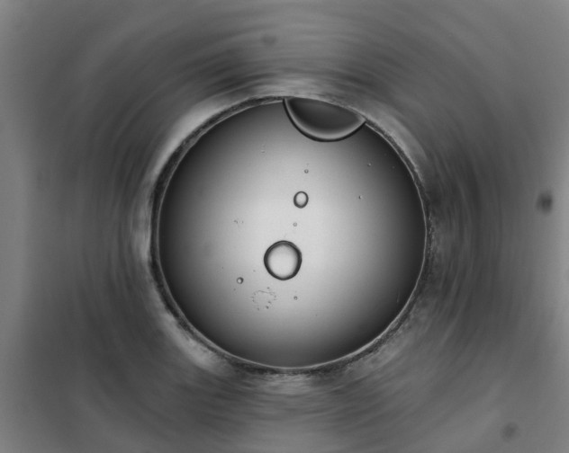 X0000102021131200807251326