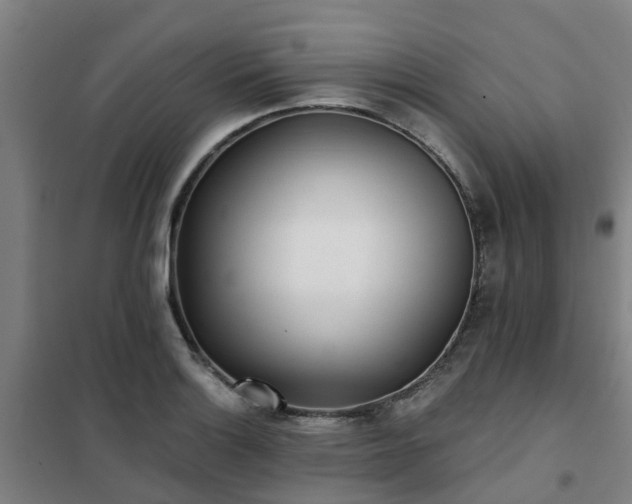 X0000102021132200807251326