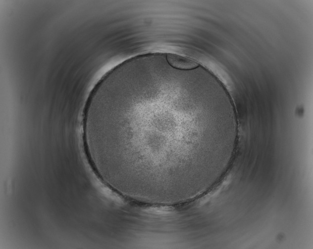 X0000102021133200807251326