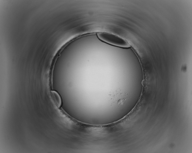X0000102021134200807251326
