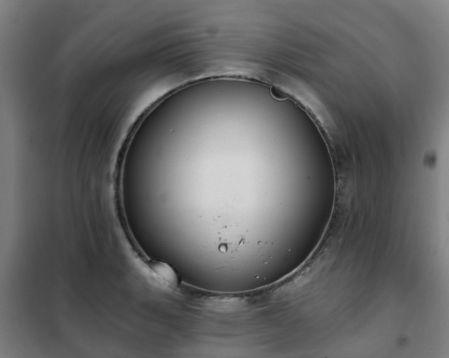 X0000102021135200807251326