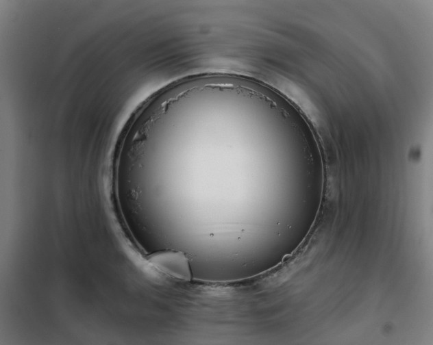 X0000102021136200807251326