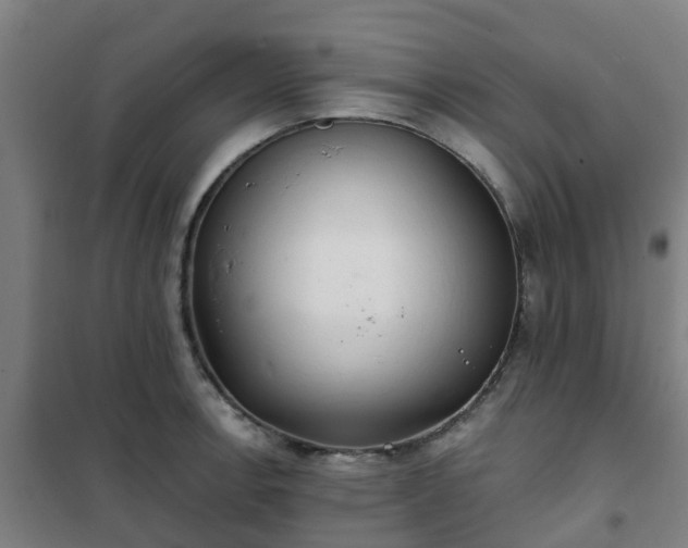 X0000102021138200807251326