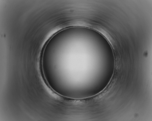 X0000102021139200807251326