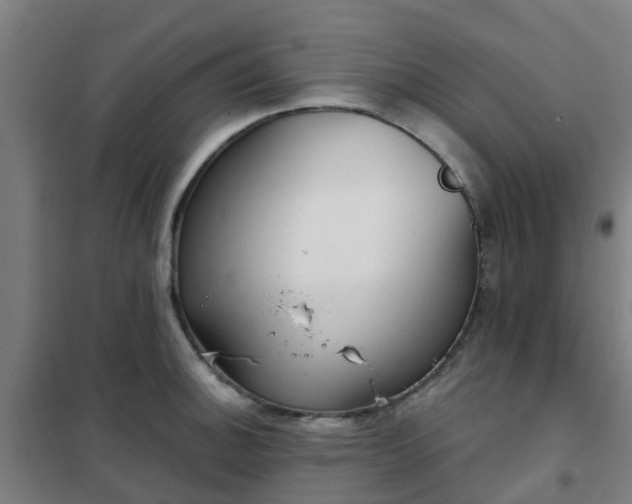 X0000102021140200807251326