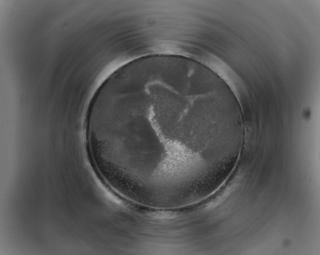 X0000102021141200807251326