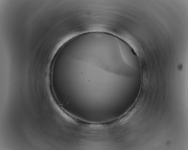 X0000102021142200807251326
