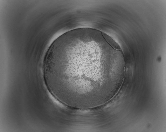 X0000102021143200807251326