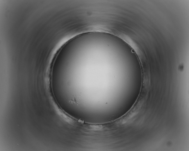 X0000102021144200807251326