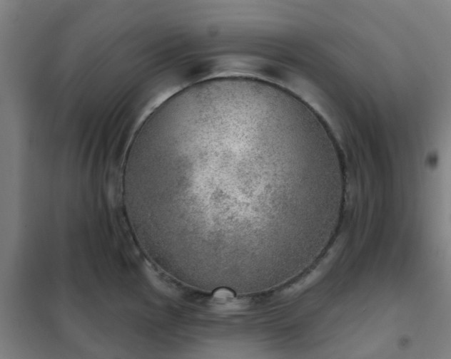 X0000102021145200807251326