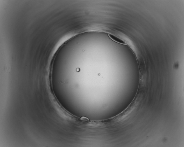 X0000102021146200807251326