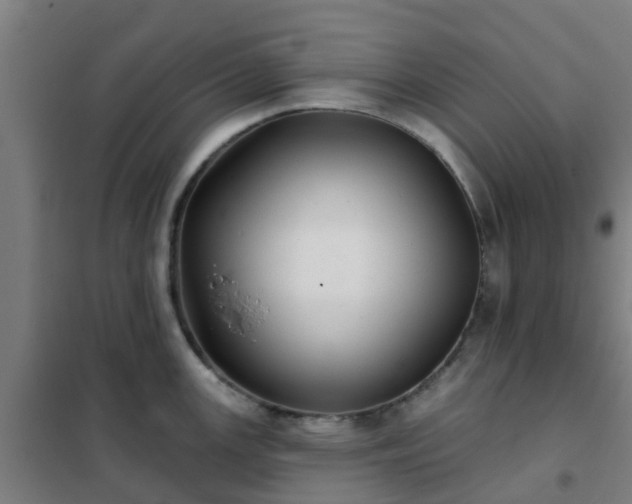 X0000102021147200807251326
